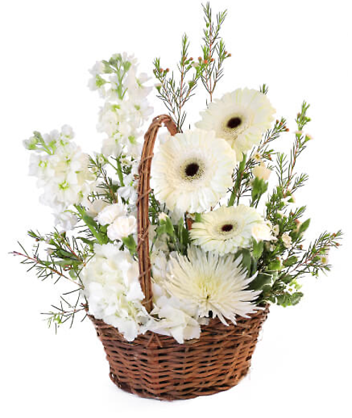 Pristine White Basket