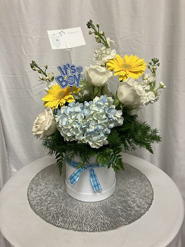 its a boy!