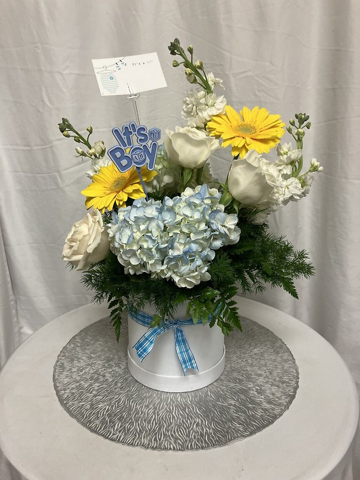 its a boy!