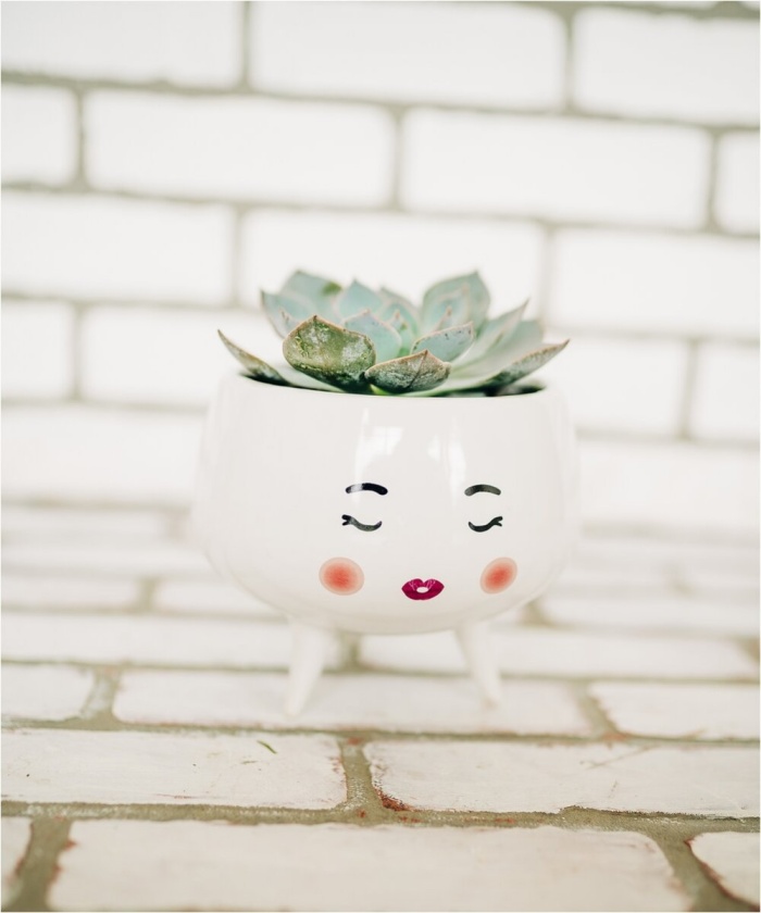 Succulent Queen